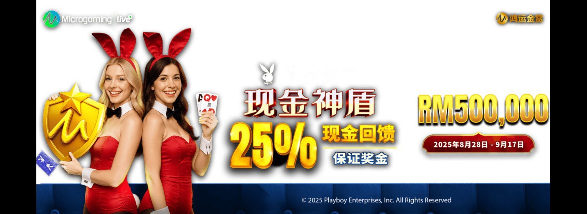 WE World Entertainment Playboy Cash Shield